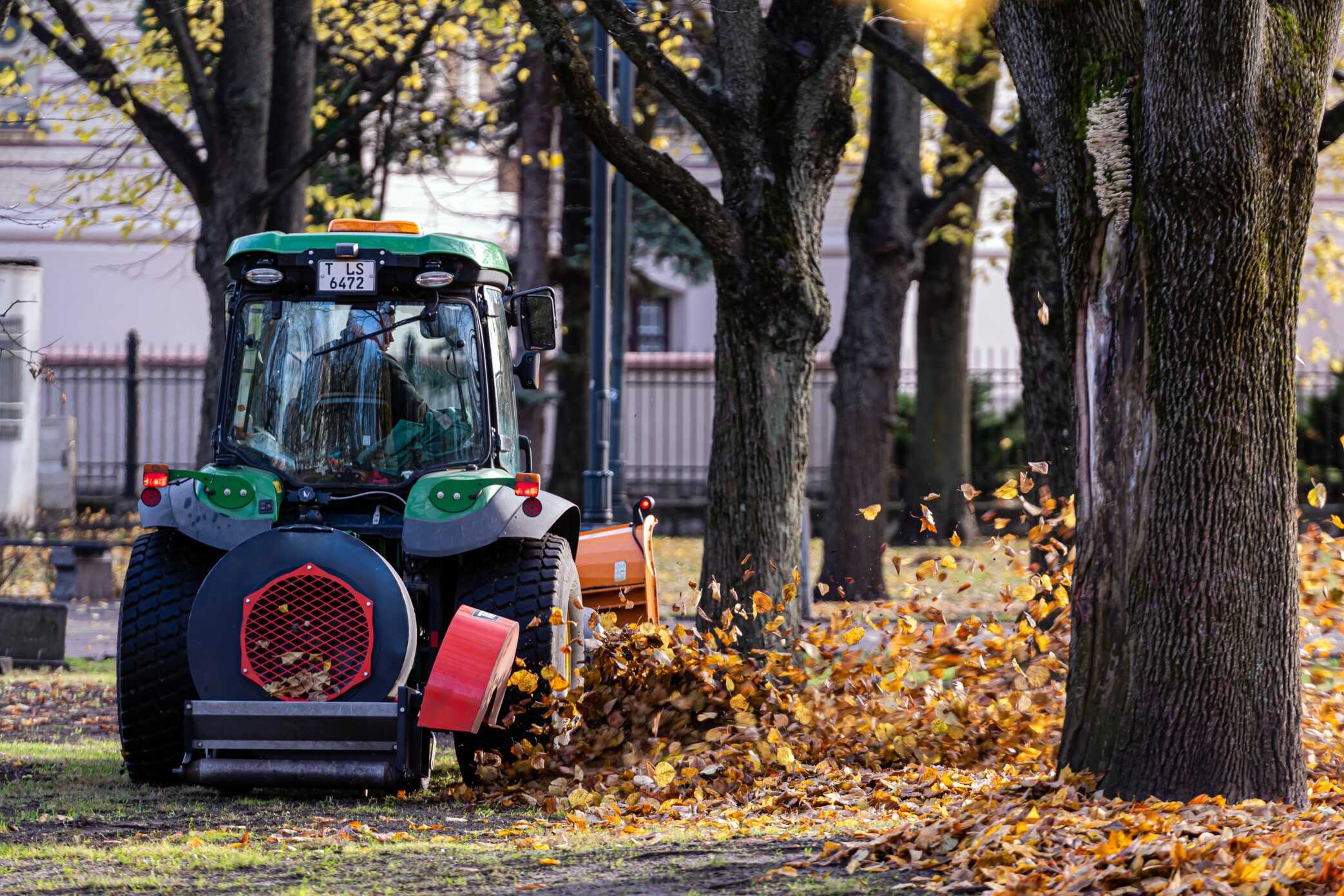 Seven Reasons to Hire the Tree Service Columbus Ohio Homeowners Recommend